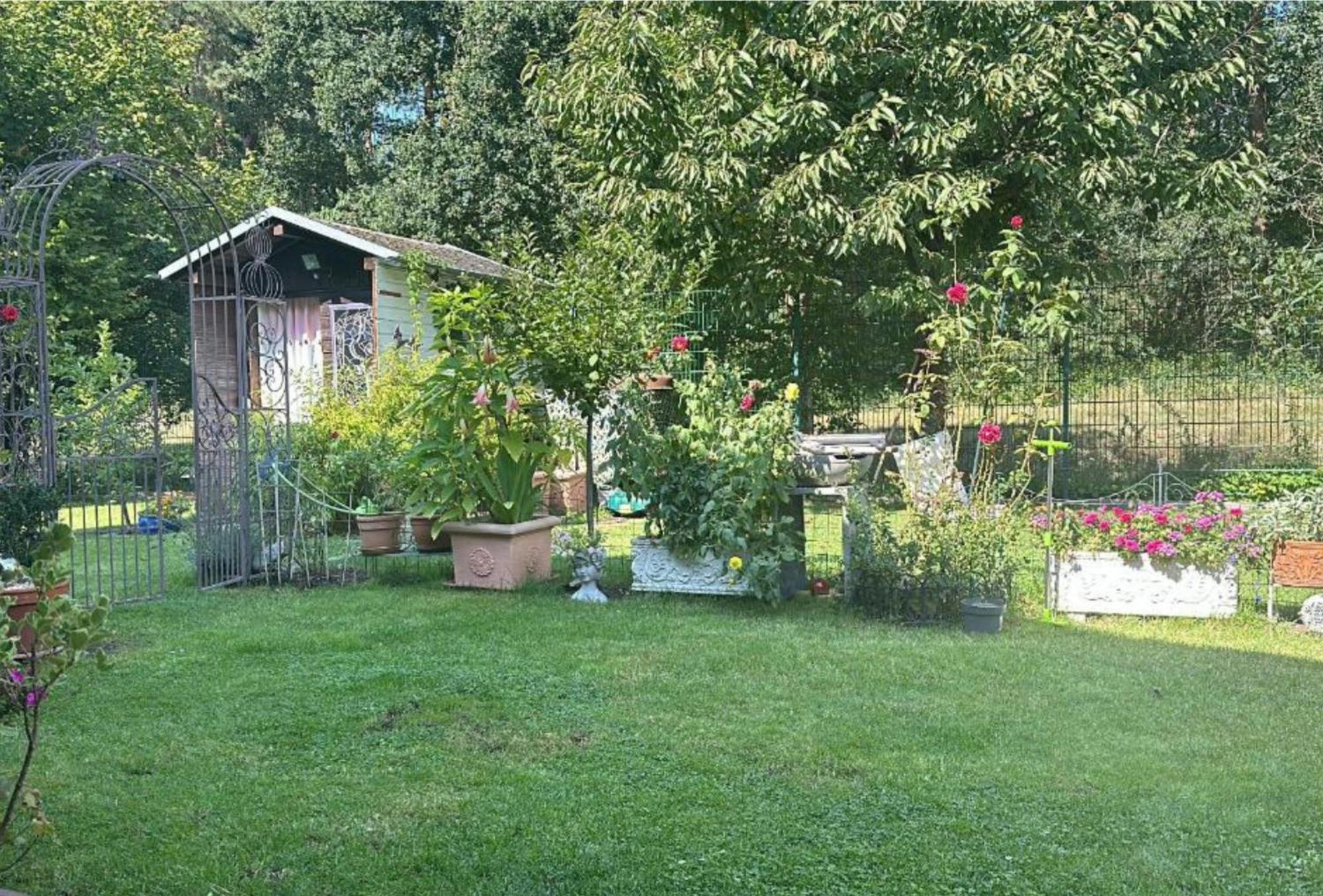 Grosse Helle Wohnung Am Wald In Bad Saarow Nahe Gruenheide Und Berlin Souterrain Exteriér fotografie
